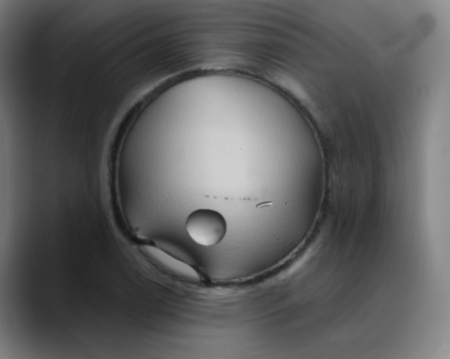 X0000089721122200707121426