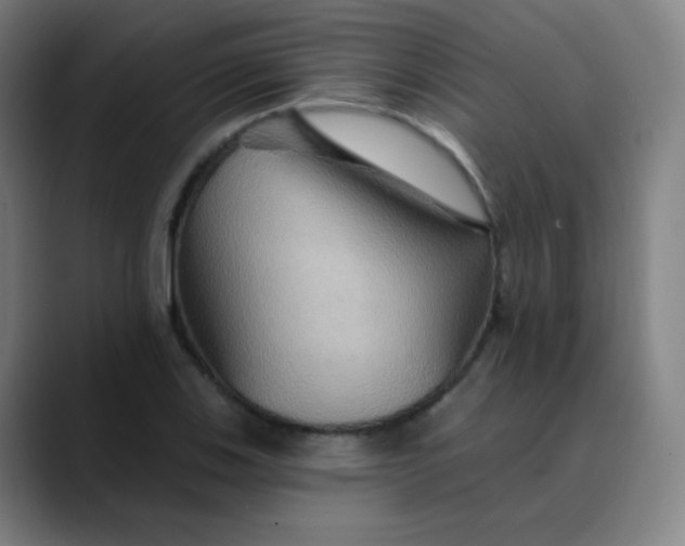 X0000089721123200707121426