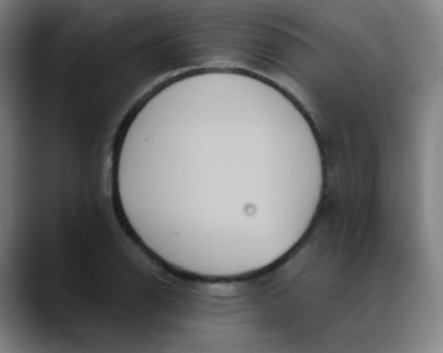 X0000089721126200707121426