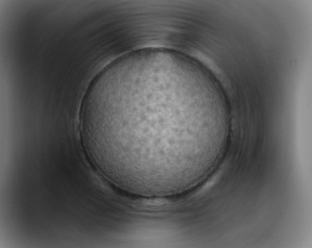 X0000089721129200707121426