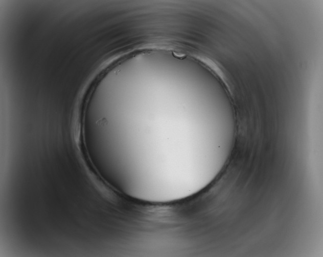 X0000089721131200707121426