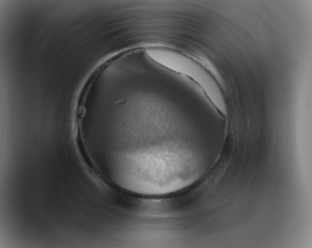 X0000089721132200707121426