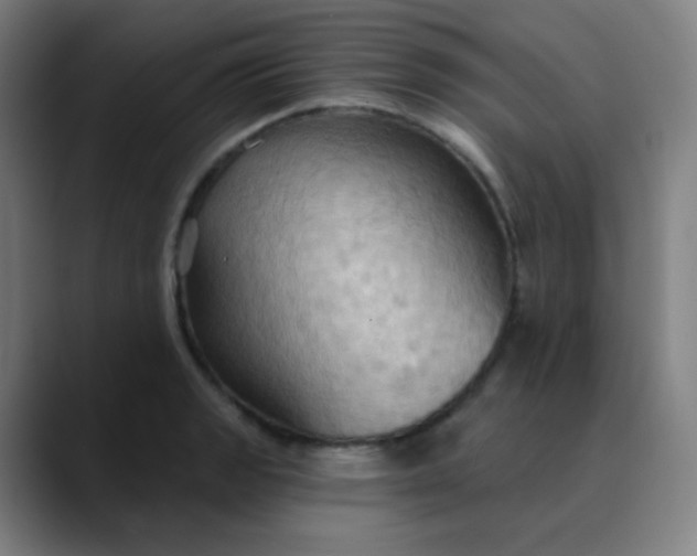 X0000089721133200707121426