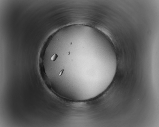 X0000089721135200707121426