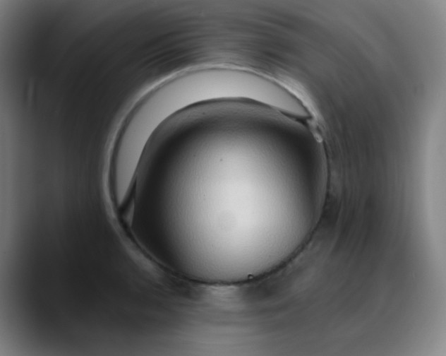 X0000089721136200707121426