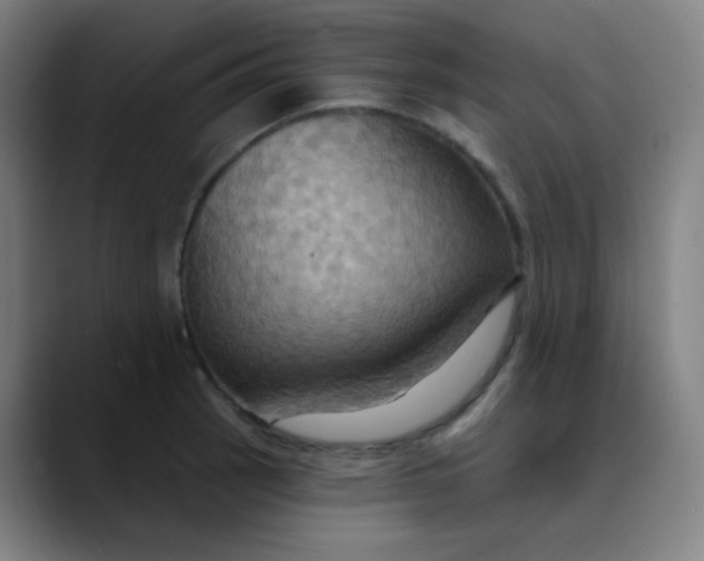 X0000089721137200707121426