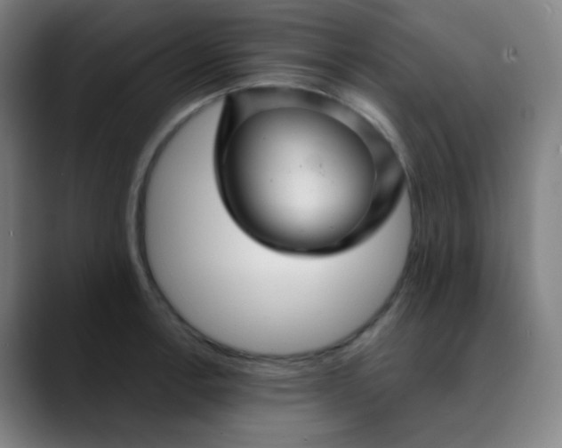 X0000089721138200707121426