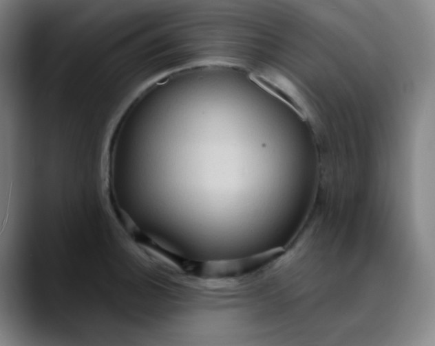 X0000089721140200707121426