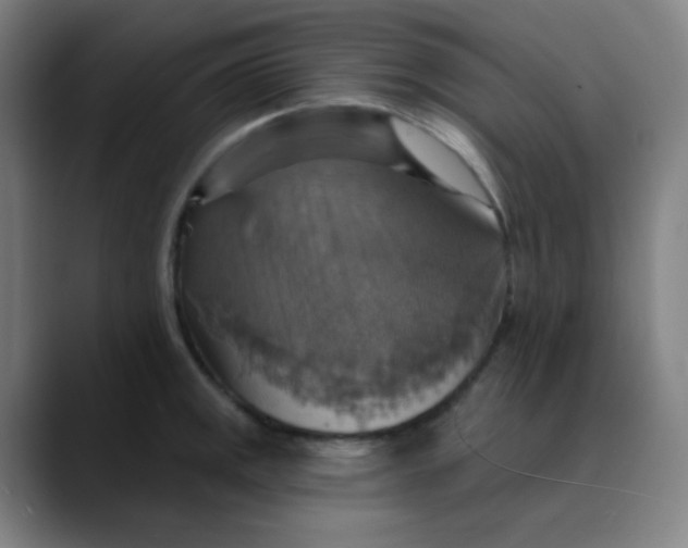 X0000089721141200707121426