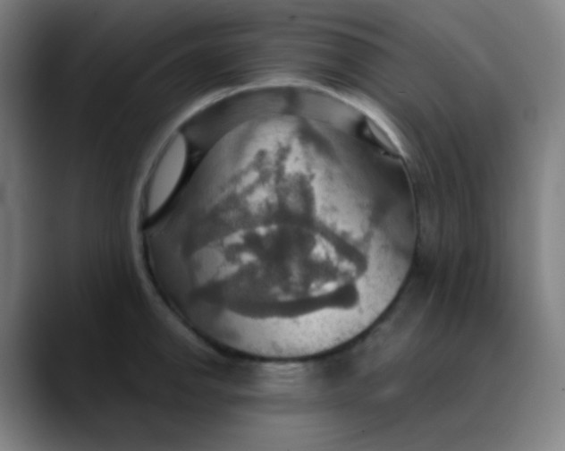 X0000089721142200707121426