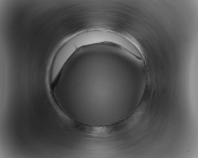 X0000089721144200707121426