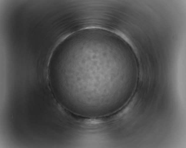 X0000089721145200707121426