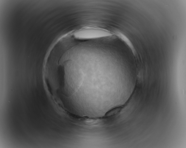 X0000089721146200707121426