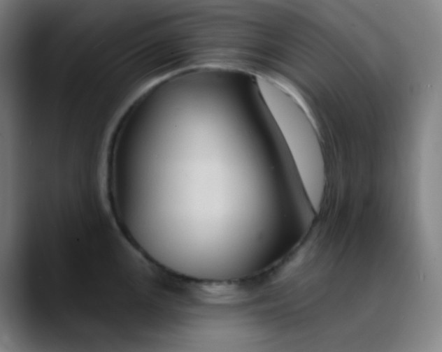 X0000089721147200707121426