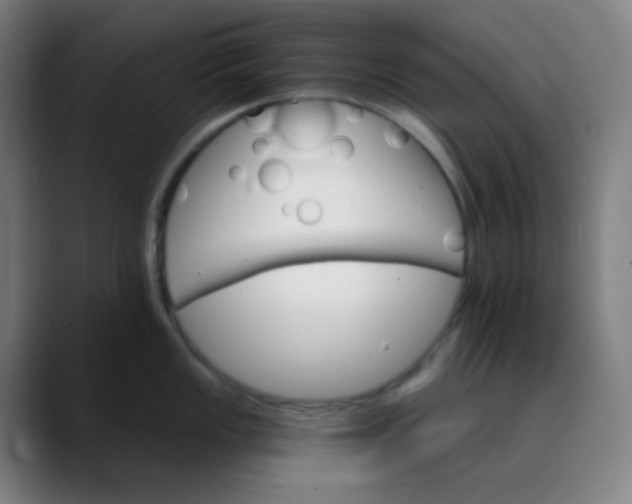 X0000089721149200707121426