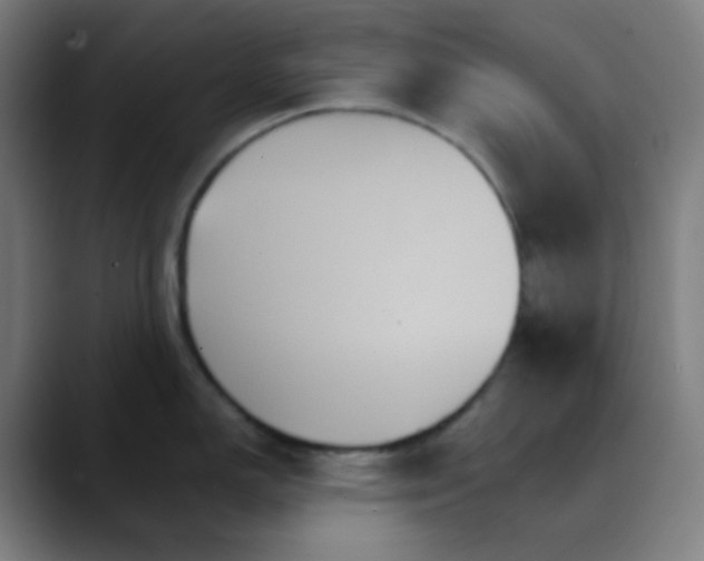 X0000089721150200707121426