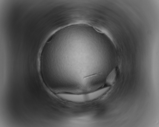 X0000089721151200707121426