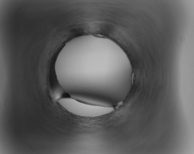 X0000089721153200707121425