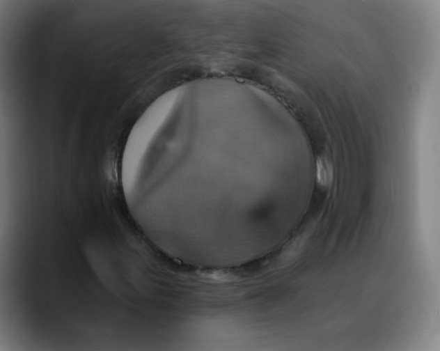 X0000089721155200707121425