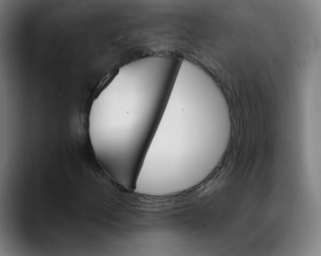 X0000089721156200707121425