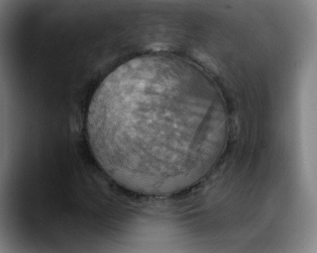 X0000089721158200707121425