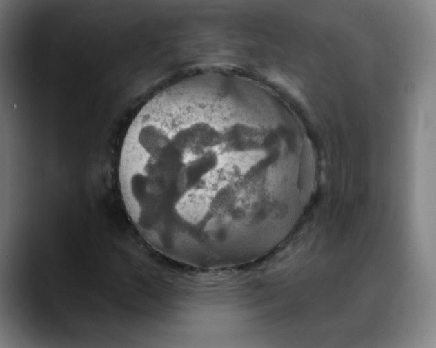 X0000089721159200707121425