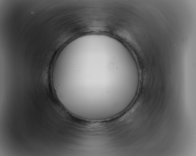 X0000089721162200707121425