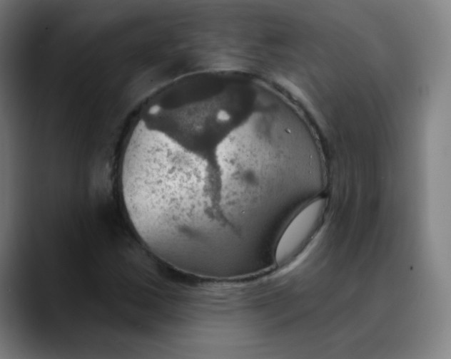 X0000089721163200707121425