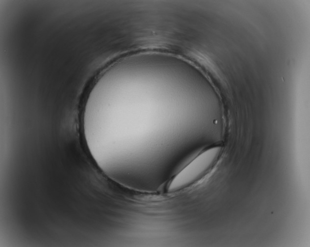 X0000089721164200707121425