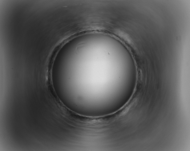 X0000089721165200707121425