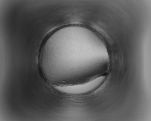 X0000089721166200707121425