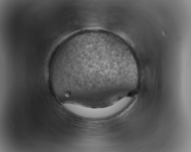 X0000089721167200707121425