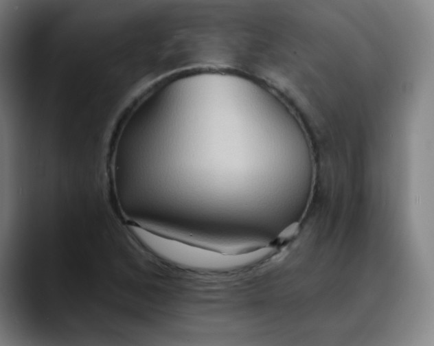 X0000089721168200707121425