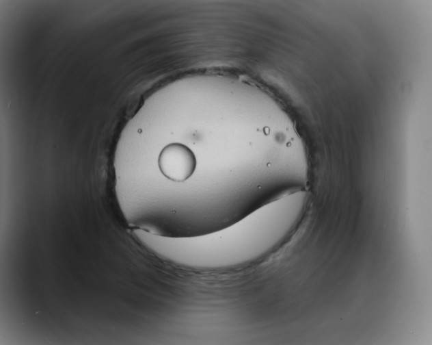 X0000089721169200707121425