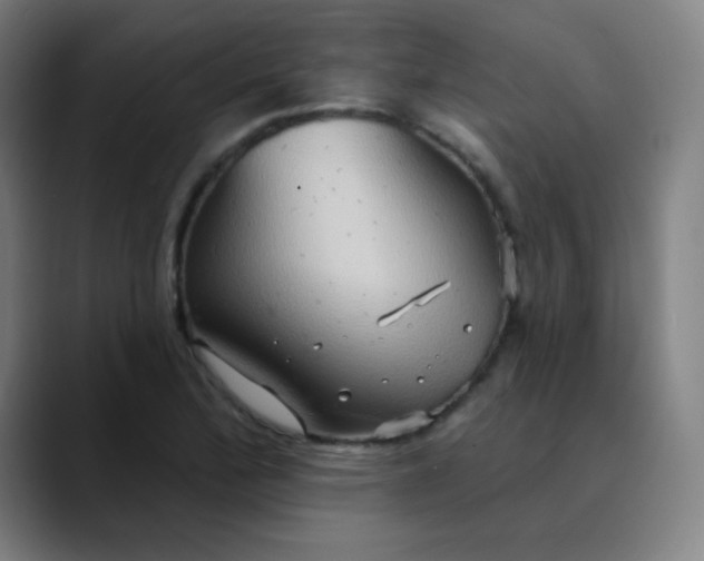 X0000089721172200707121425