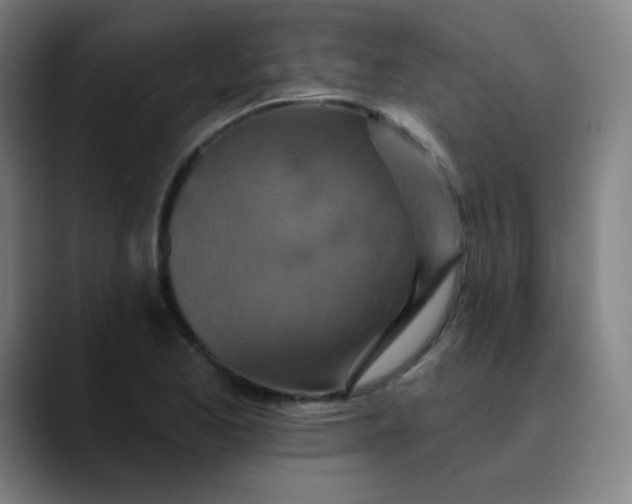 X0000089721173200707121425