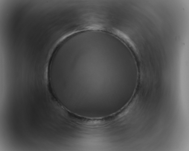 X0000089721174200707121425