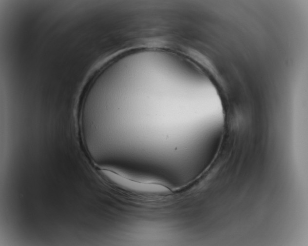 X0000089721176200707121425