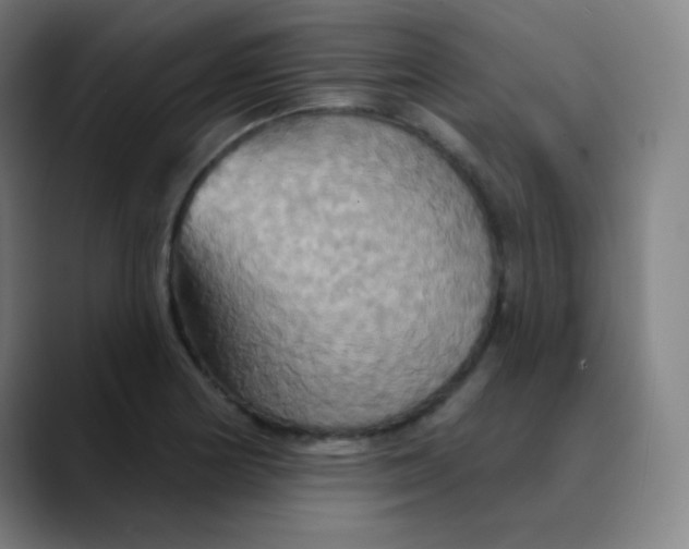 X0000089721178200707121425