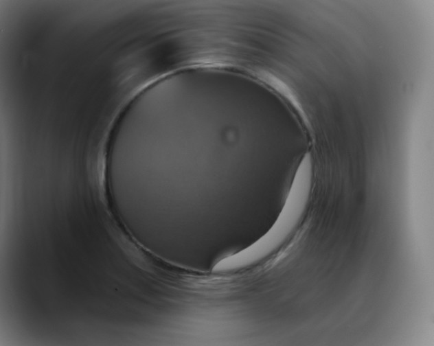 X0000089721179200707121425