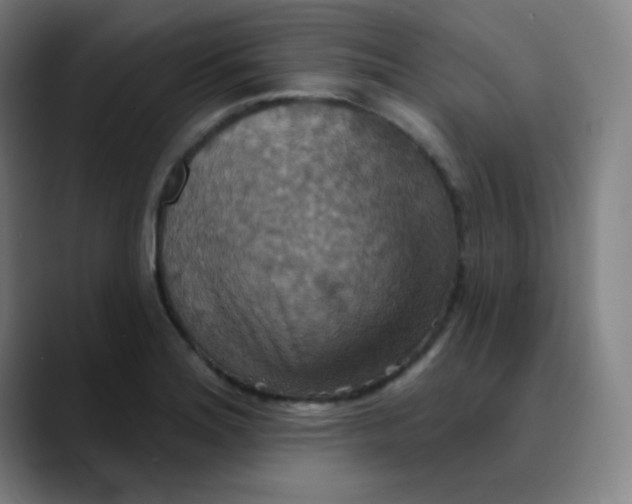 X0000089721180200707121425