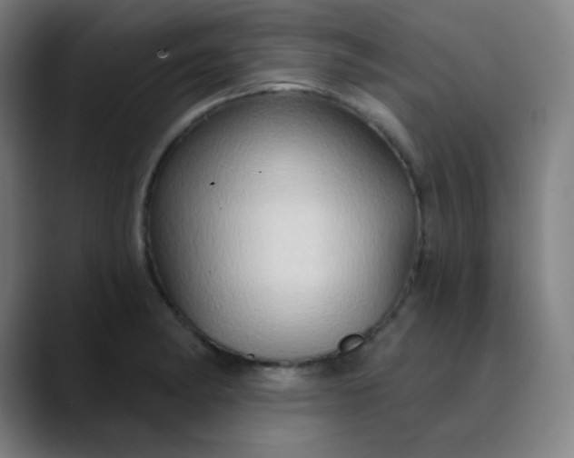 X0000089721182200707121425