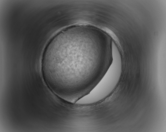 X0000089721183200707121425