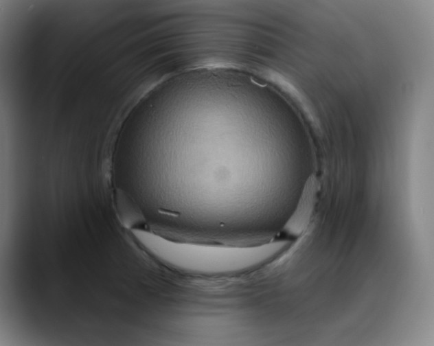 X0000089721185200707121425