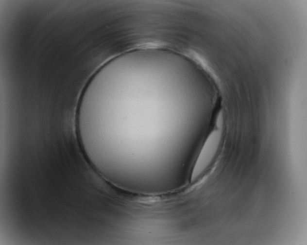 X0000089721186200707121425