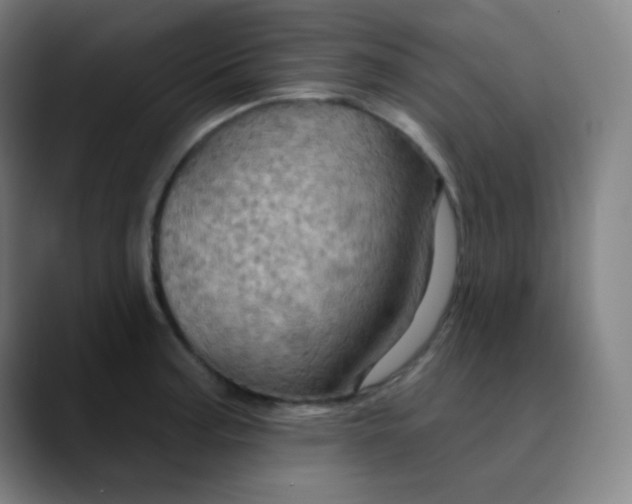 X0000089721187200707121425