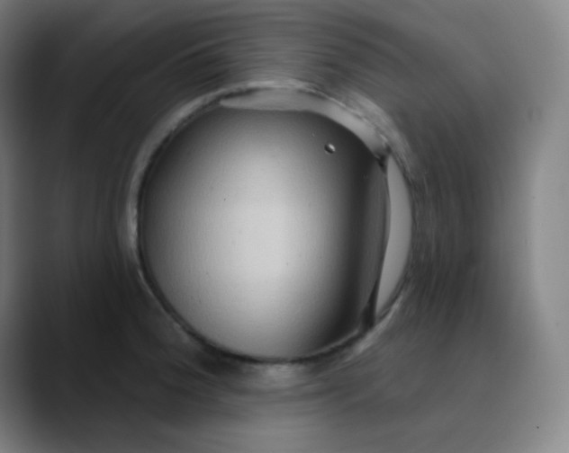 X0000089721188200707121425