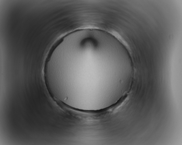 X0000089721189200707121425