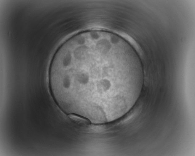 X0000089721191200707121425