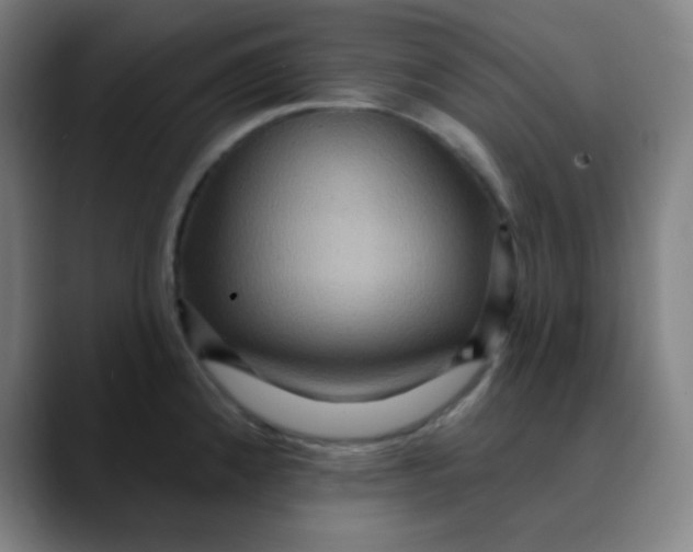 X0000089721192200707121425